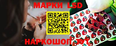 стаф Славгород