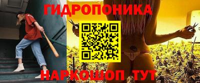 стаф Славгород