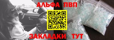 стаф Славгород