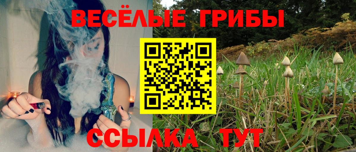 Белгород  Галлюциногенные грибы ЛСД  Вход с VPN 